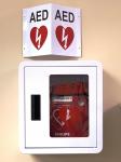 AED Wall Cabinet - Standard Alarmed